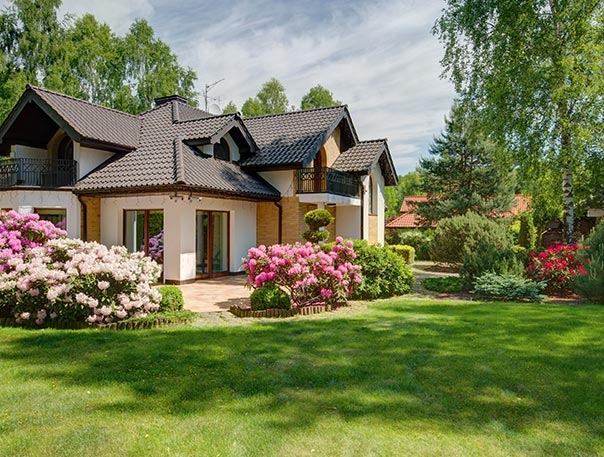 Tim Röder Sachverständiger im Garten- und Landschaftsbau
